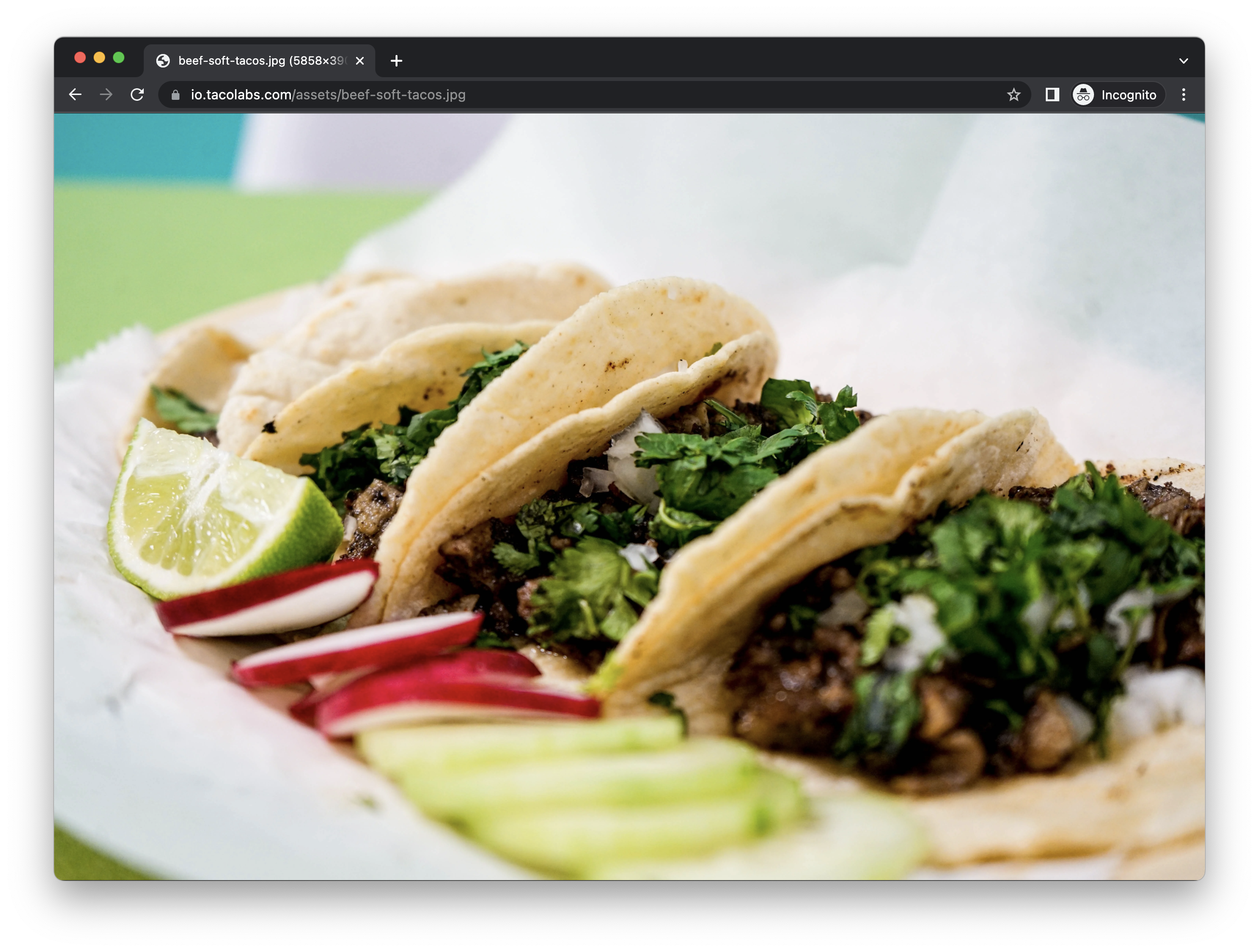 Example full size taco image